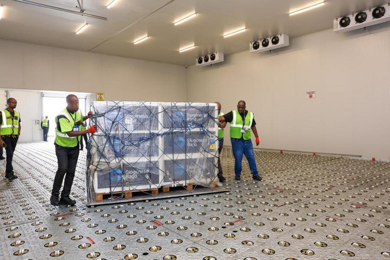 Wafanyakazi wakisogeza chanjo dhidi ya ugonjwa wa mguu na mdomo (FMD) mjini Johannesburg, Afrika Kusini, Februari 21, 2026. (GCIS/kupitia Xinhua)