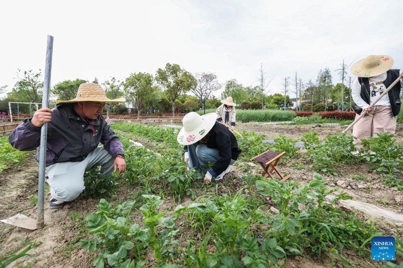 Wajasiriamali vijana wachangia ustawi wa vijiji huko Jiaxing mkoani Zhejiang, China