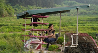 Mkulima mpya wa China aleta uvumbuzi na ujuzi shambani