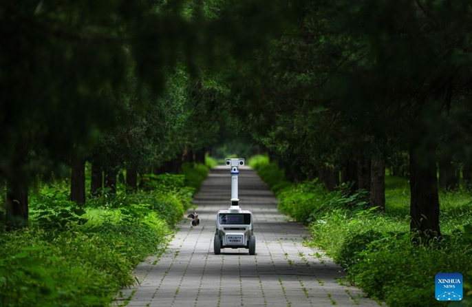ChinaVumbuzi | Roboti mpya zaonekana kwenye Bustani ya Tiantan mjini Beijing