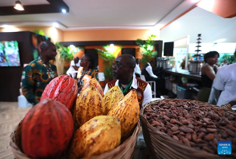 Shughuli ya 10 ya Siku za Kitaifa za Kakao na Chokoleti yafunguliwa nchini Cote d'Ivoire