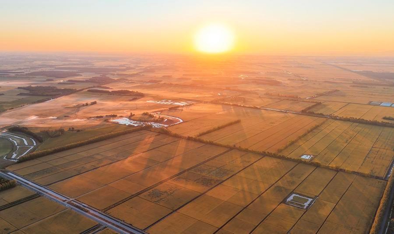 Mashamba ya mpunga yaingia kwenye msimu wa mavuno huko Heilongjiang, China