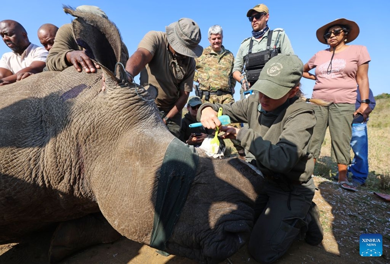 Teknolojia ya kisasa yaimarisha ulinzi wa faru katika hifadhi ya kihistoria ya Afrika Kusini