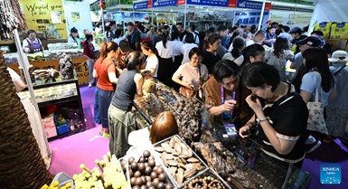 Maonesho ya China-ASEAN yafunguliwa kwa umma
