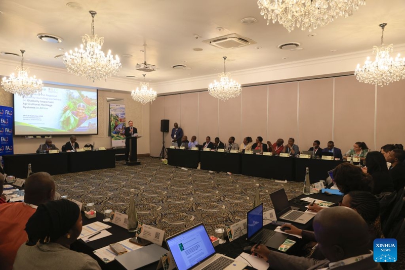 Picha hii iliyopigwa tarehe 28 Septemba 2026 ikionyesha mandhari kwenye mjadala wa kikanda ya kujenga uwezo wa Mifumo Muhimu ya Mali za Urithi wa Kilimo Duniani (GIAHS) barani Afrika, jijini Johannesburg, Afrika Kusini. (Xinhua/Chen Wei)