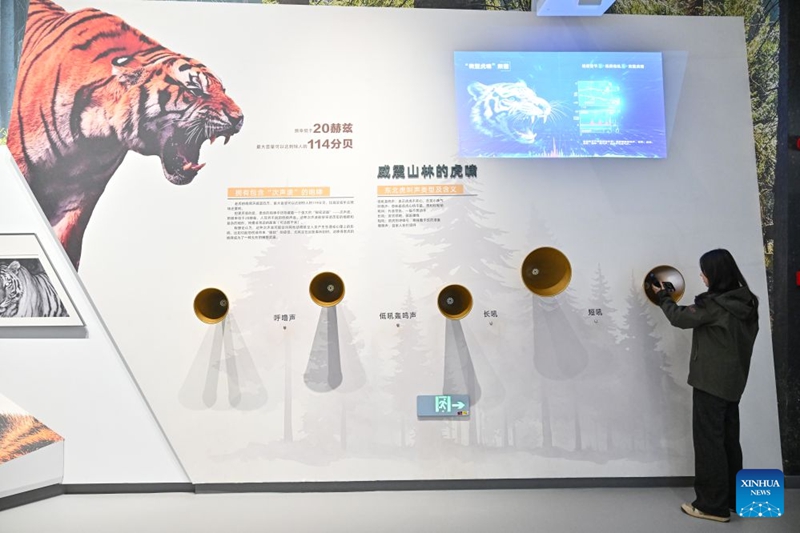 Kituo cha Uenezaji Sayansi mkoani Heilongjiang, China chawezesha watu kujua simbamarara wa Siberia na chui wa Amur