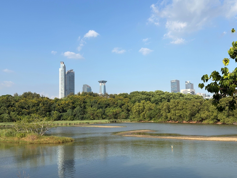 Hifadhi ya Kitaifa ya Mazingira ya Asili ya Guangdong Neilingding Futian mjini Shenzhen, mkoani Guangdong, China (People’s Daily Online)