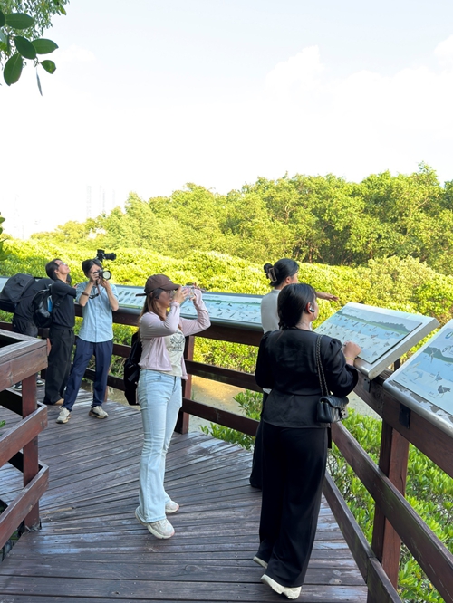 Waandishi wa habari wakitazama viumbe wanaopatikana kwenye Hifadhi ya Kitaifa ya Mazingira ya Asili ya Guangdong Neilingding Futian mjini Shenzhen, mkoani Guangdong, China (People’s Daily Online)