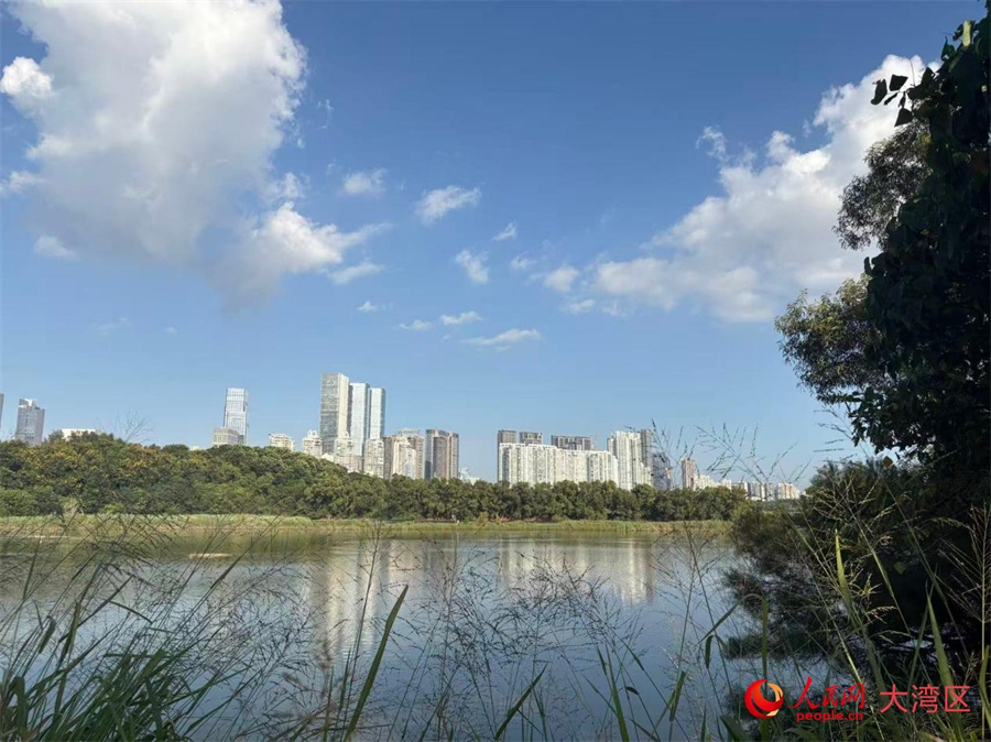 Kuona Siku za Baadaye Shenzhen, China | Mustakabali wa Kaboni-Sifuri Wawa Dhahiri